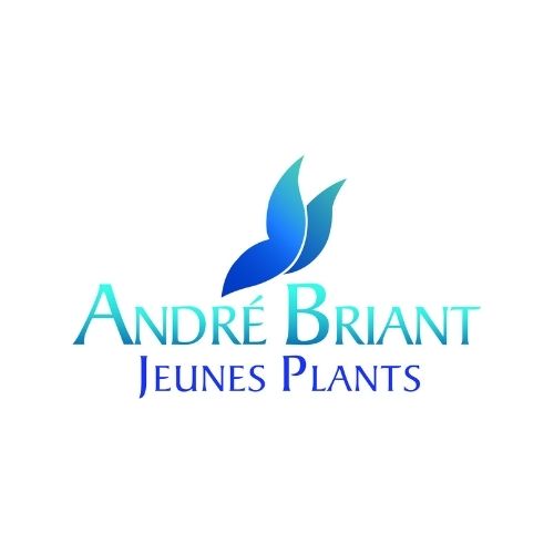 andre-briant-adherent-age-groupement-employeur-angers