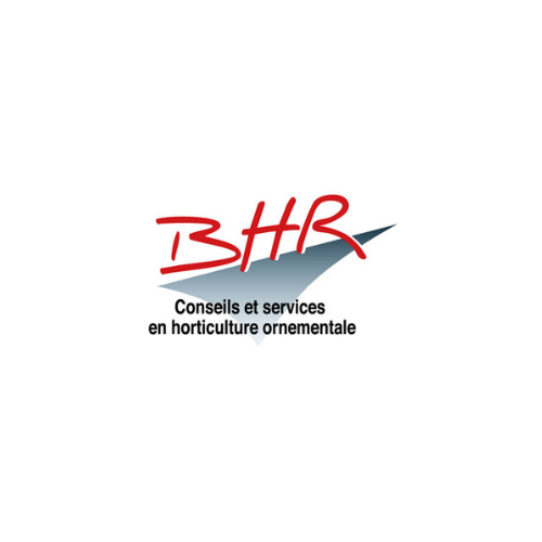 bhr-adherent-age-groupement-employeur-angers